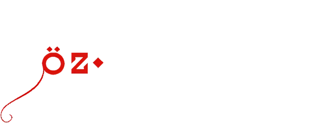 alper öz perçin logo